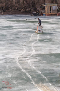 FotoVizija by Aleksandar Stojković - Smederevac na Tamišu